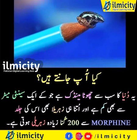 Social media post