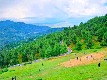 Beautiful Nature image