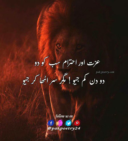 Attitude Quotes image