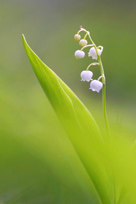 Beautiful Nature image