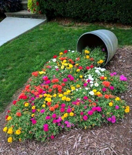 Beautiful Nature image