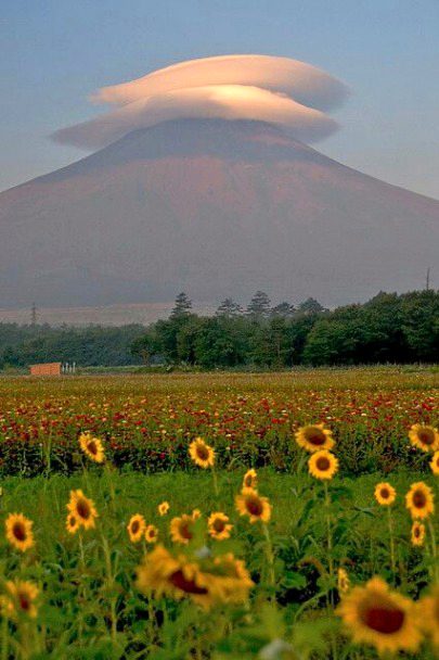 Beautiful Nature image