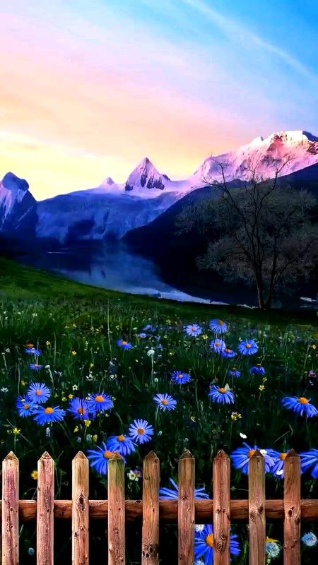 Beautiful Nature image