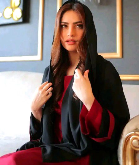 Pakistani Celebs image