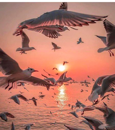 Beautiful Nature image