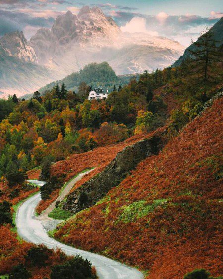 Beautiful Nature image