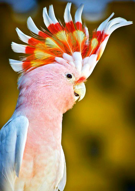 Beautiful Nature image