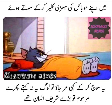 Memes & Satire image