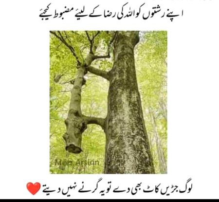 Social media post
