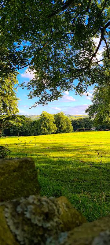 Beautiful Nature image