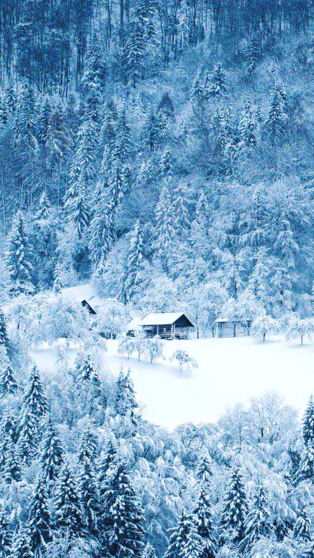 Beautiful Nature image