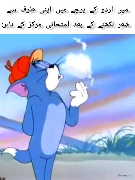 Memes & Satire image