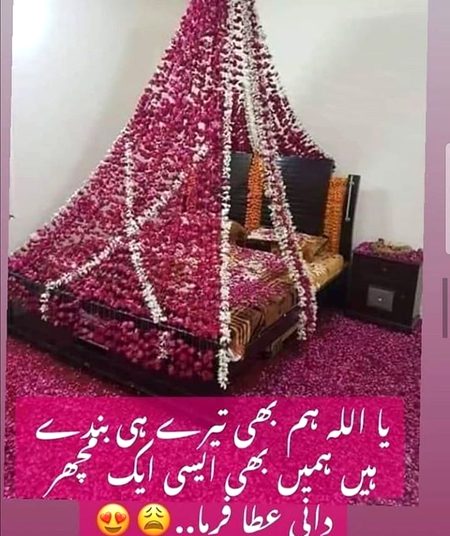 Memes & Satire image