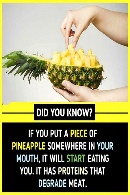 Interesting Posts image