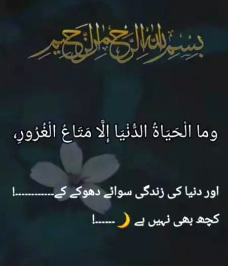 Islamic Quotes image