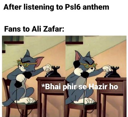 Memes & Satire image