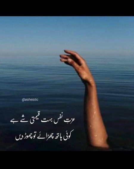 Life Advice image