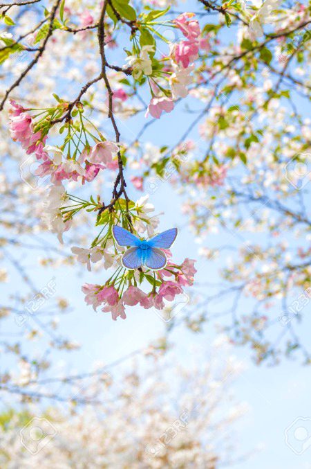 Beautiful Nature image