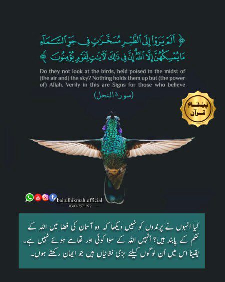 Islamic Quotes image