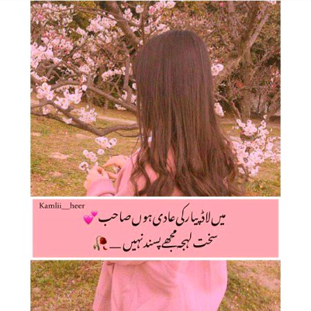 Attitude Poetry image