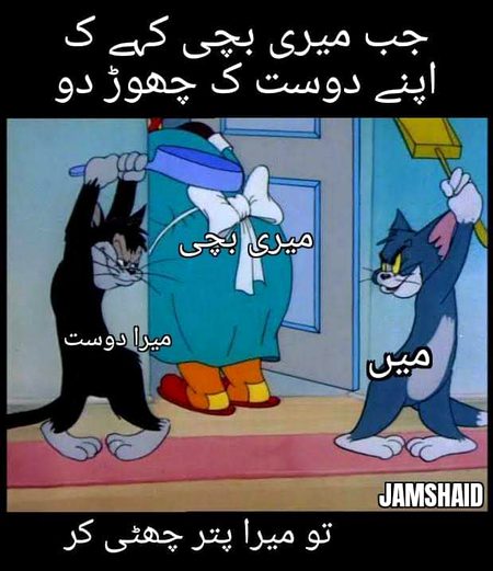 Memes & Satire image