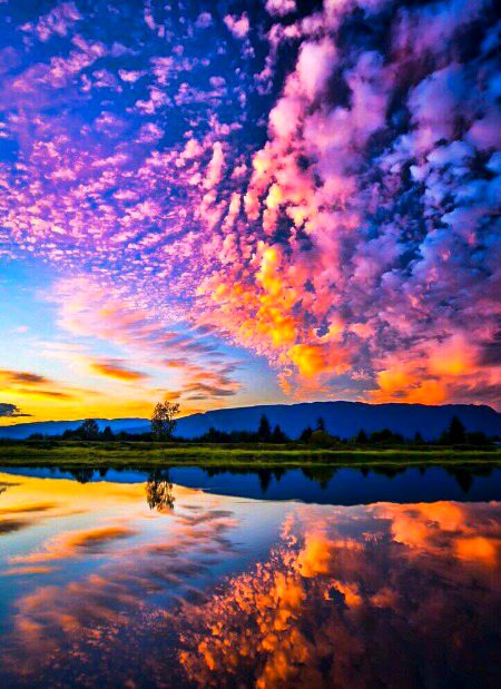 Beautiful Nature image