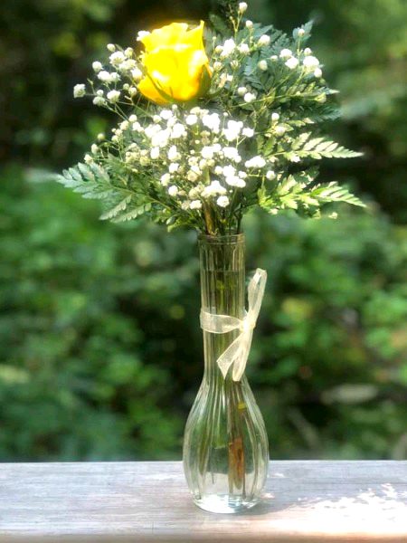 Beautiful Nature image