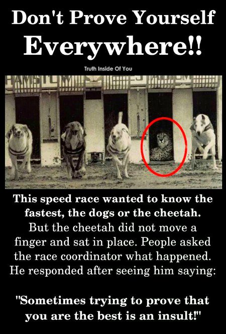Interesting Posts image