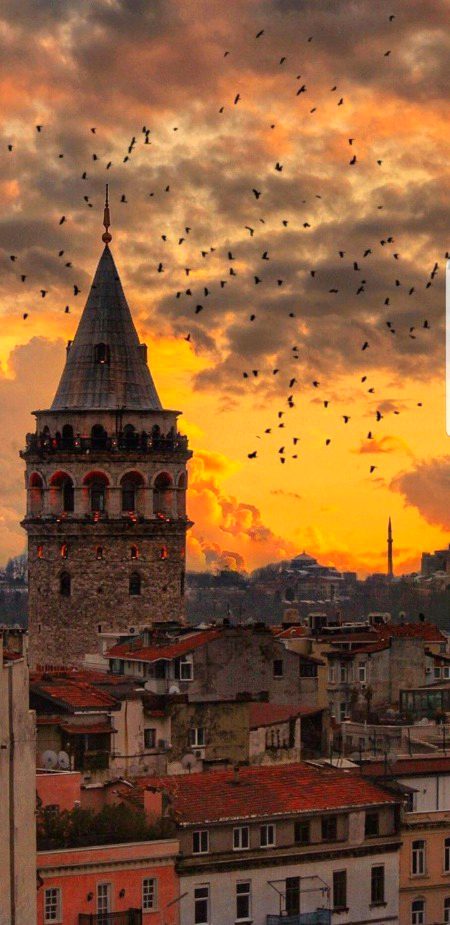 Beautiful Nature image