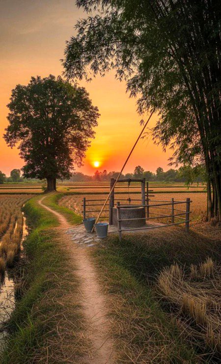 Beautiful Nature image