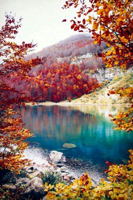 Beautiful Nature image