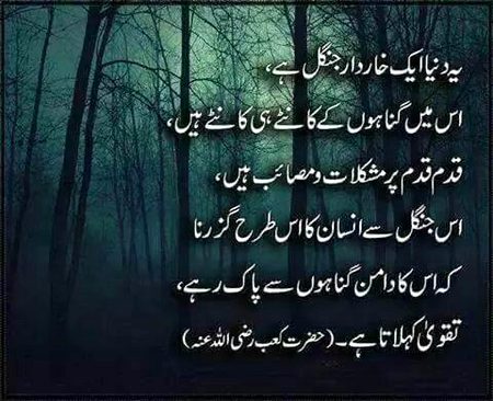 Islamic Quotes image