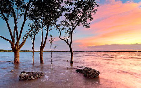 Beautiful Nature image