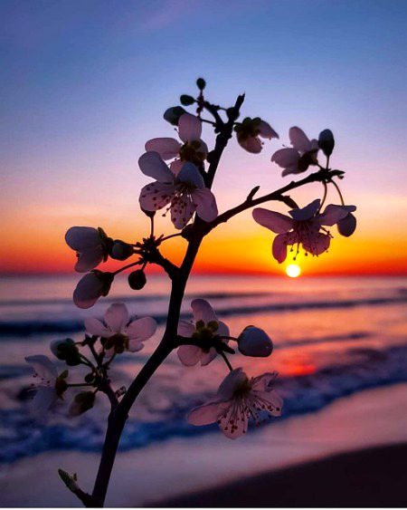 Beautiful Nature image