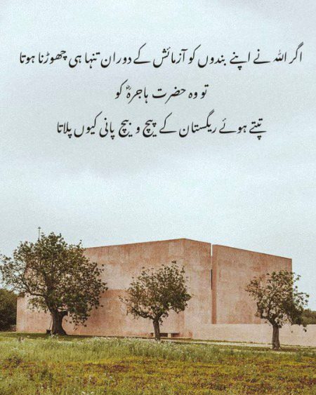 Islamic Quotes image