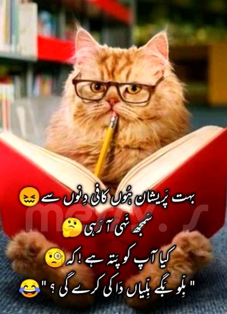 Social media post