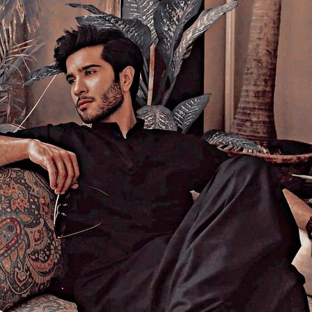 Pakistani Celebs image