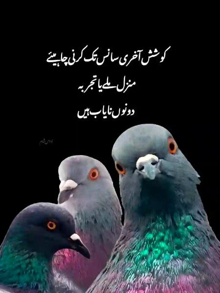 Social media post