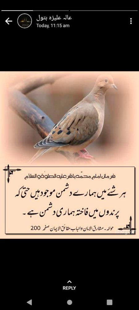 Social media post