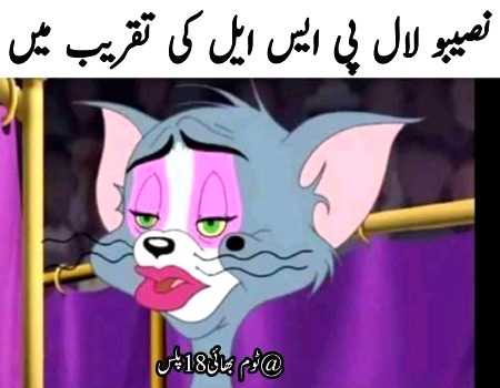 Memes & Satire image