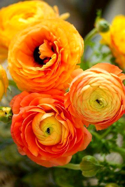 Beautiful Nature image