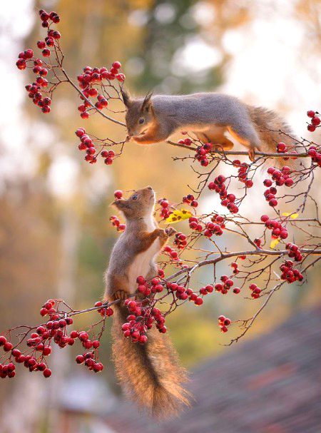 Beautiful Nature image