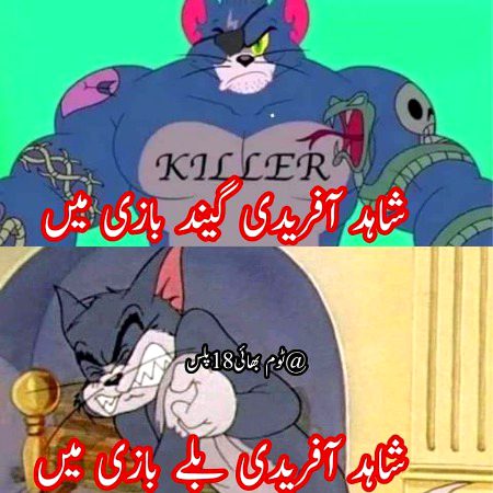Memes & Satire image