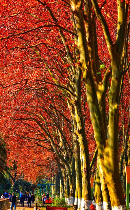 Beautiful Nature image