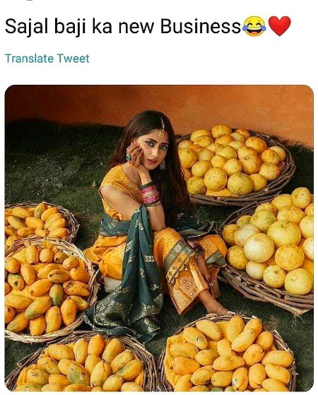 Memes & Satire image
