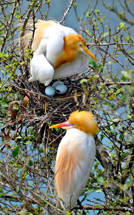 Beautiful Nature image