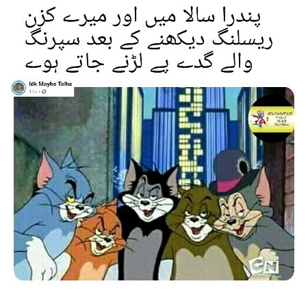Memes & Satire image