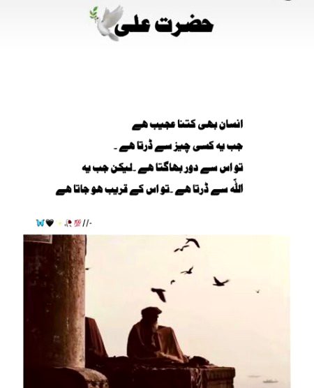 Islamic Quotes image