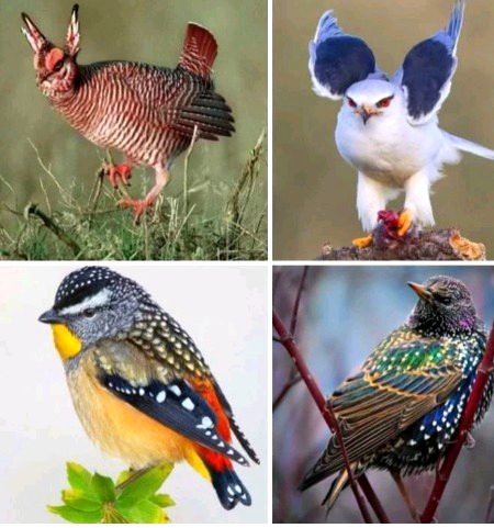 Beautiful Nature image