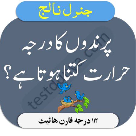 Knowledge Test image